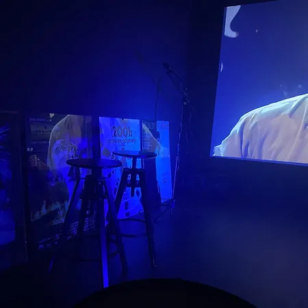 Lofthouse Maciejoki דירה