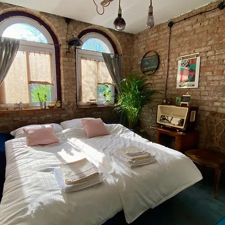 Lofthouse Maciejoki *