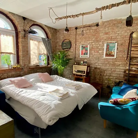 Lofthouse Maciejoki ויירובו