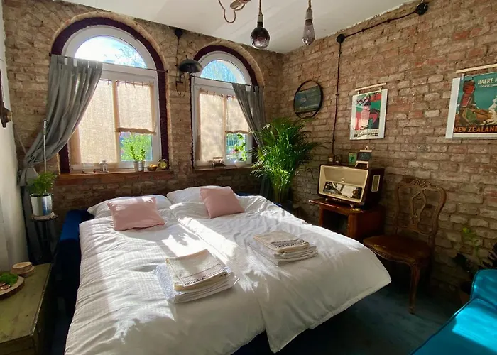 Lofthouse Maciejoki *